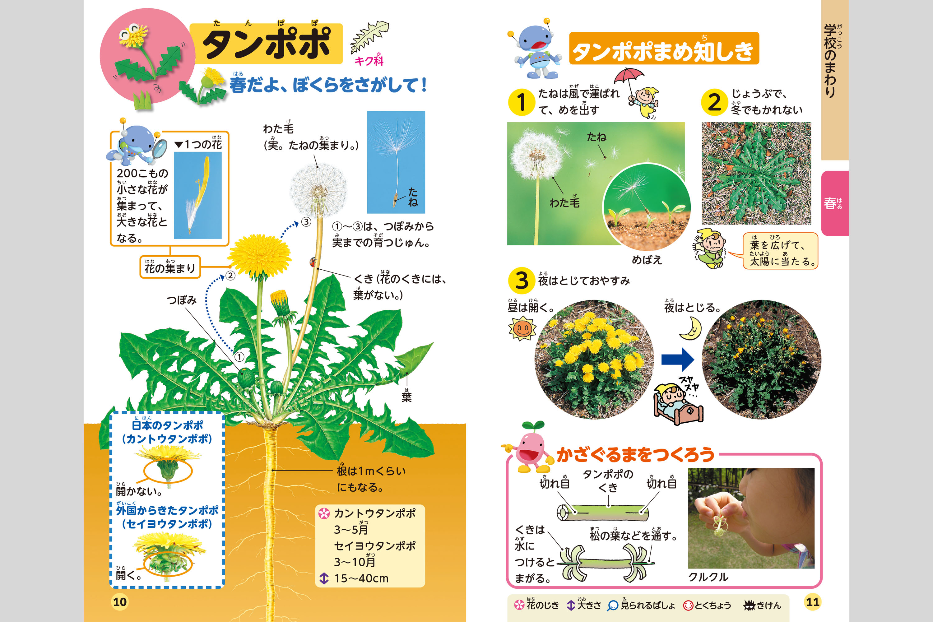 わくわくずかんしょくぶつはかせ34冊 その他 本 本・音楽・ゲーム 【人気商品！】