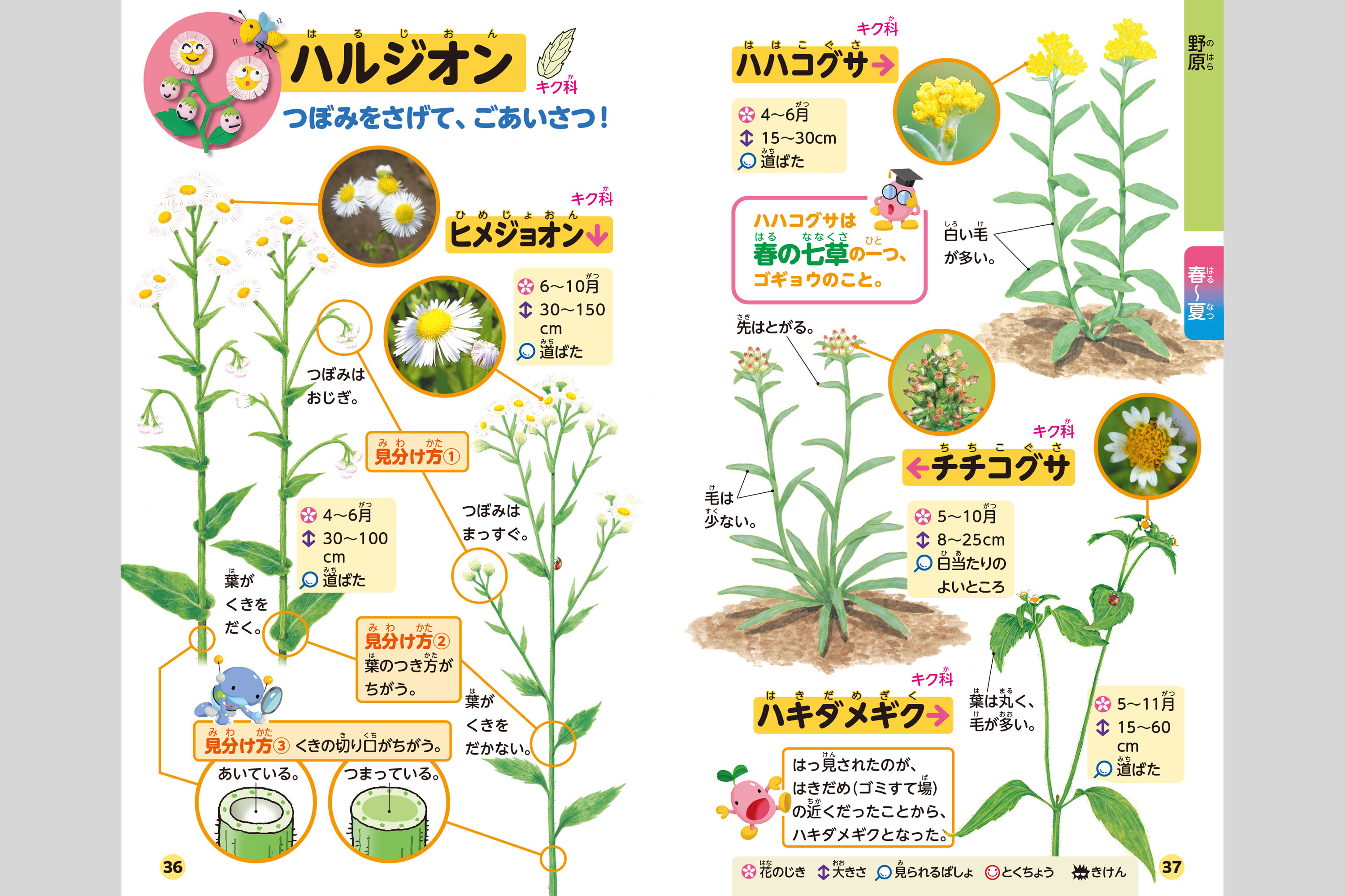 わくわくずかん しょくぶつはかせ 小学校教材 資料集 ずかん 株式会社正進社 教育図書教材の出版