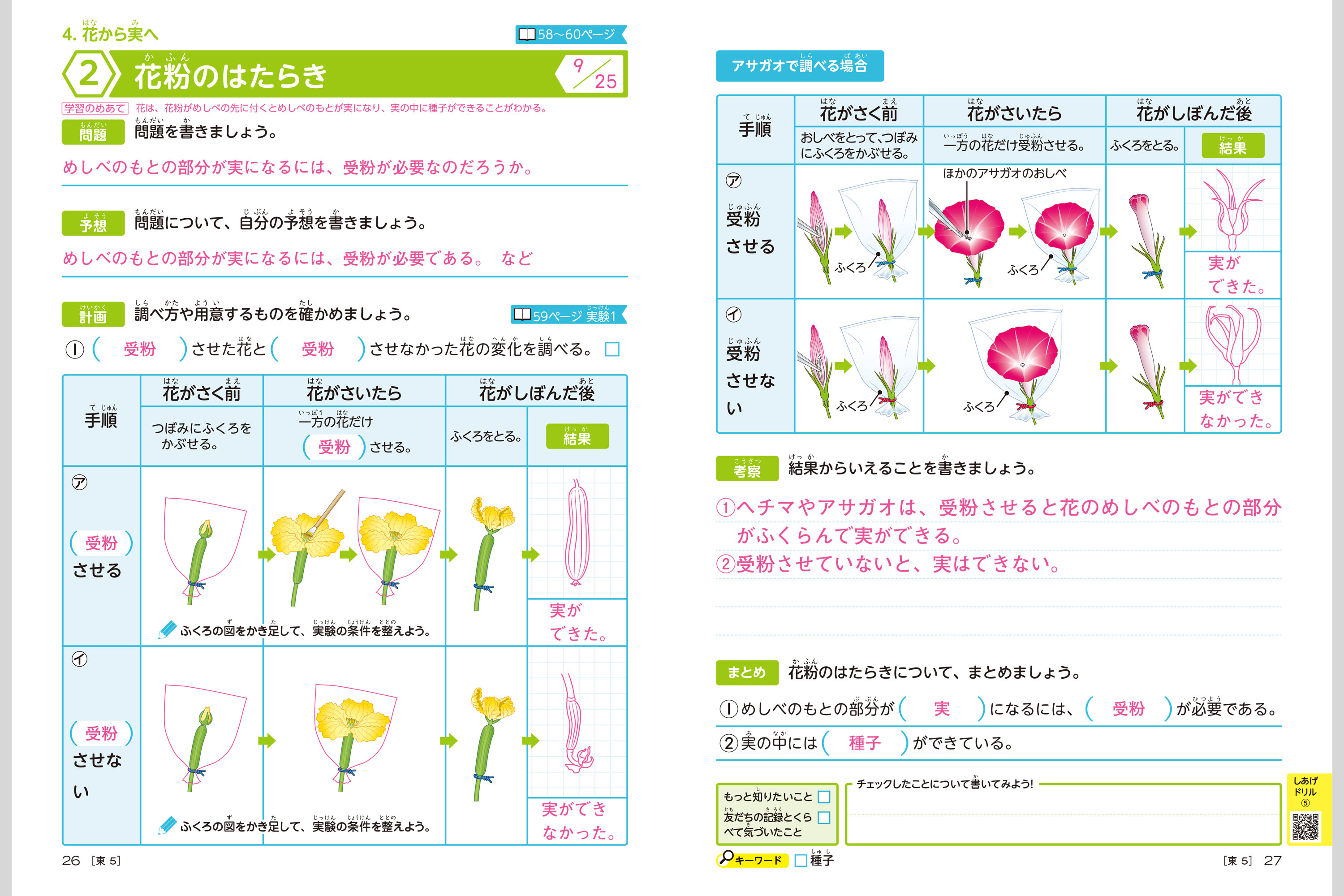 理科学習ノート 小学校教材 スキル ノート 理科 株式会社正進社