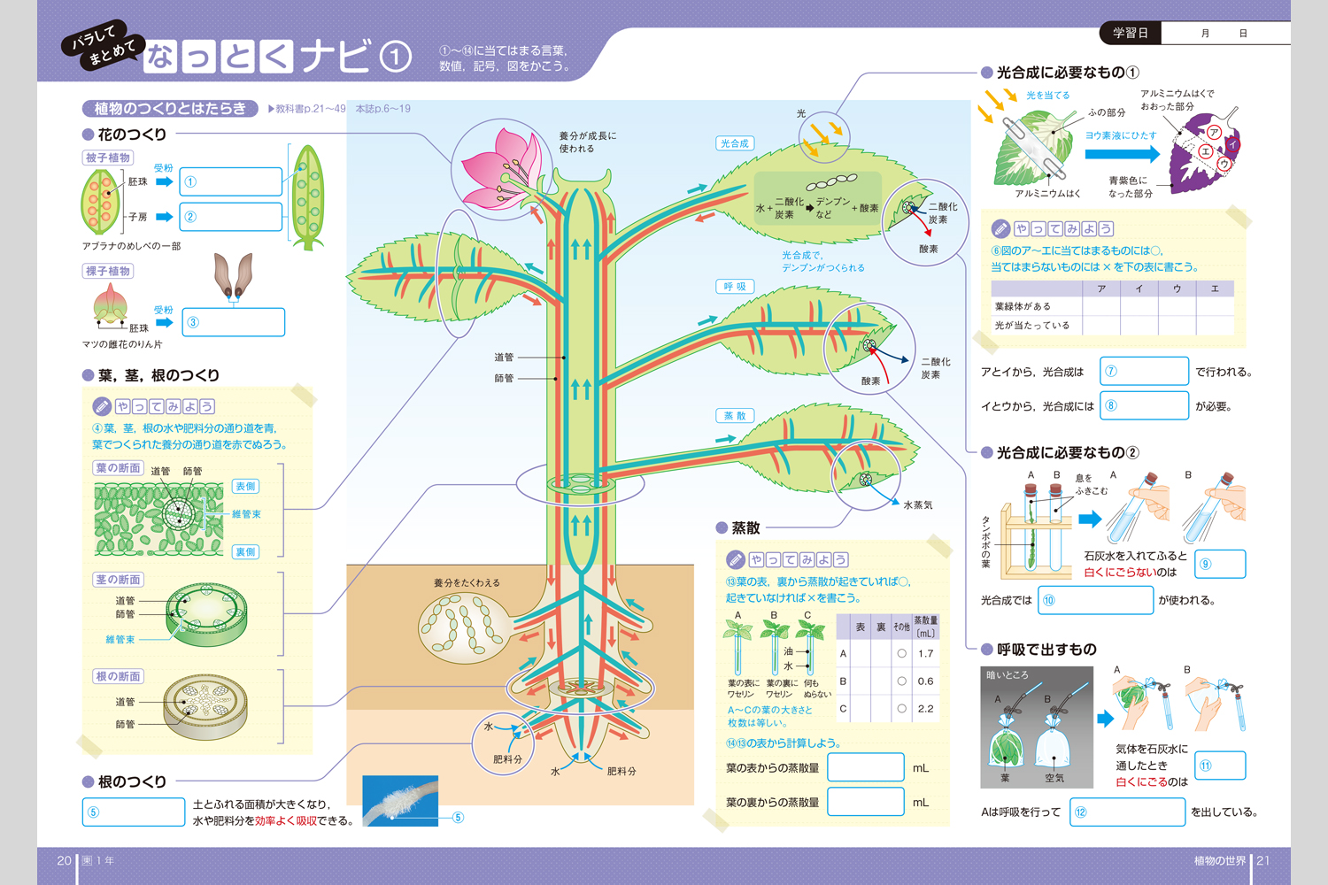 理科の完全学習 中学校教材 理科 ノート ワーク 株式会社正進社