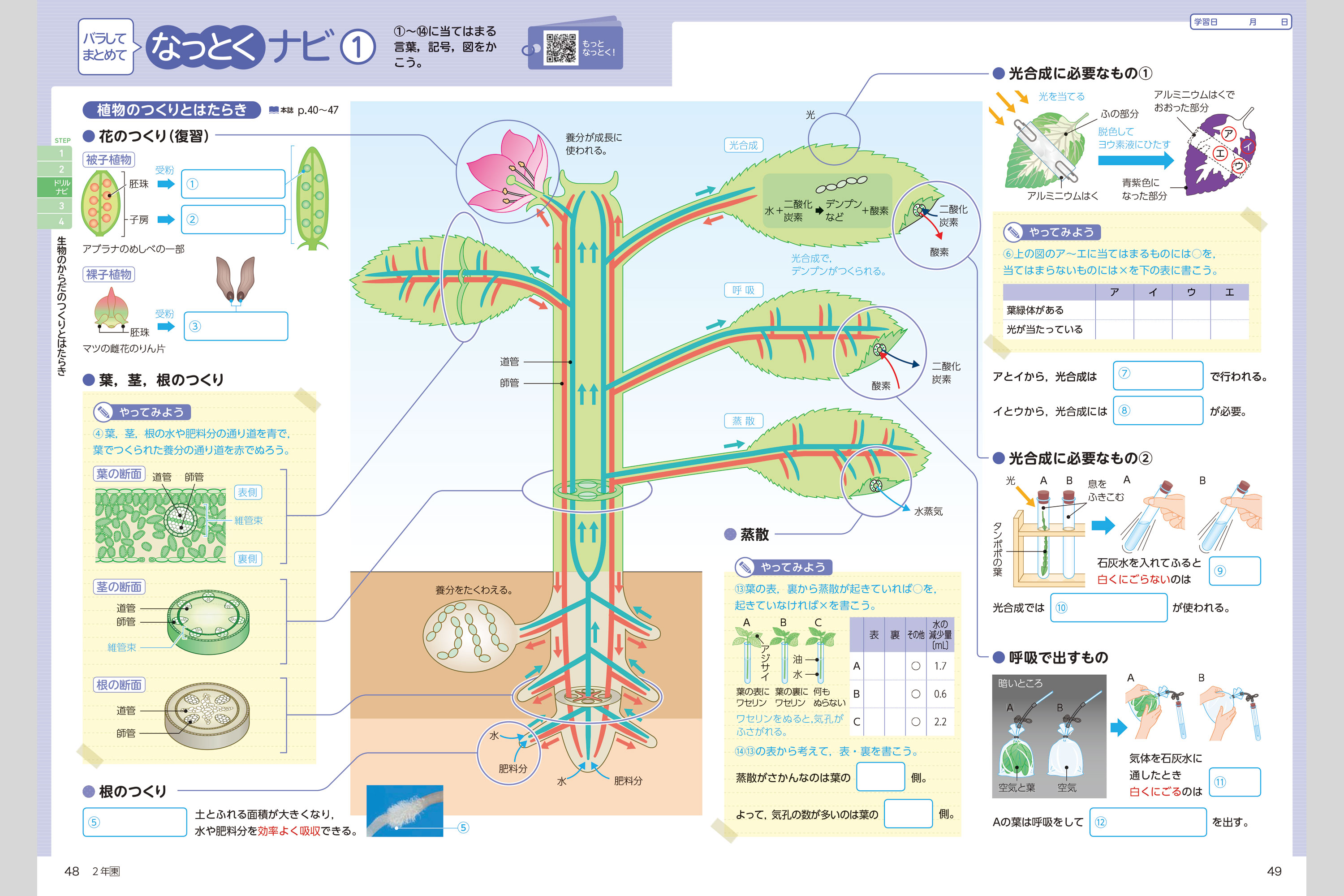 理科の完全学習 中学校教材 理科 ノート ワーク 株式会社正進社 教育図書教材の出版